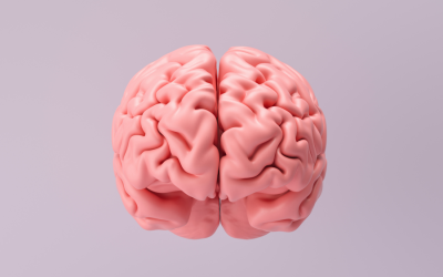 What Is Psychology-based Marketing?